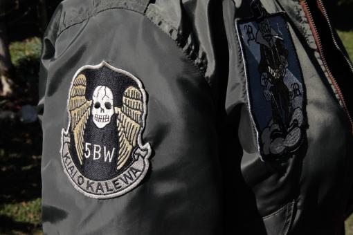 USAF L-2 Fliegerjacke BLACKBIRD 